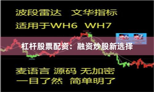 杠杆股票配资：融资炒股新选择