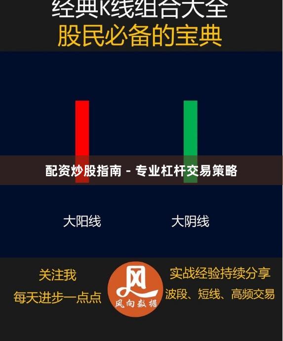 配资炒股指南 - 专业杠杆交易策略