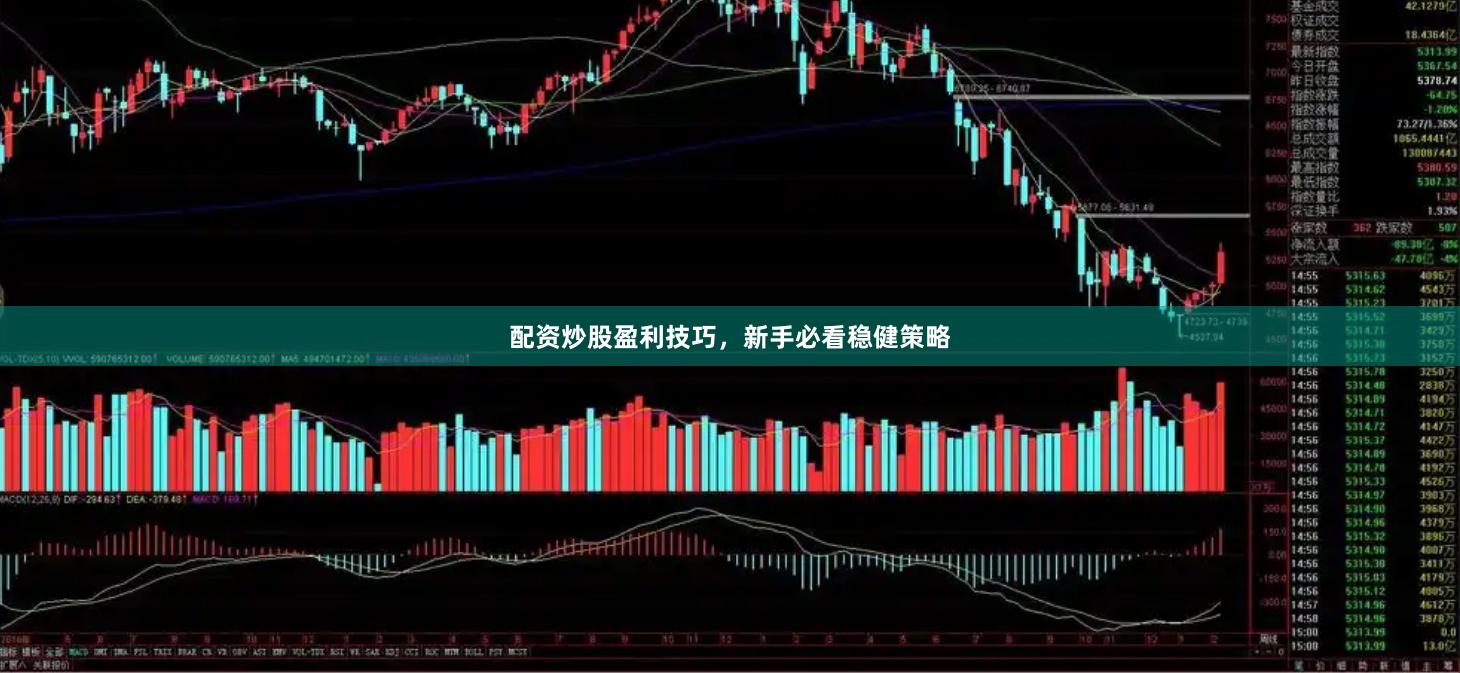 配资炒股盈利技巧，新手必看稳健策略